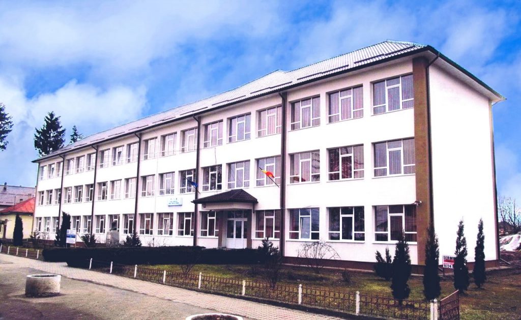 Scoala Vasile Tomegea Boroaia